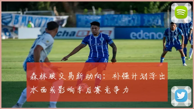 森林狼交易新动向：补强计划浮出水面或影响季后赛竞争力
